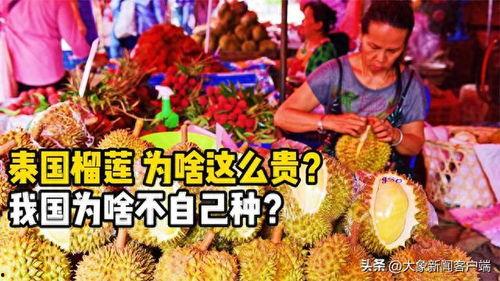 91华人国产,融合创新，共筑繁荣未来